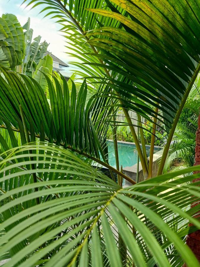 Hotel Wayan Garden à Ubud Extérieur photo